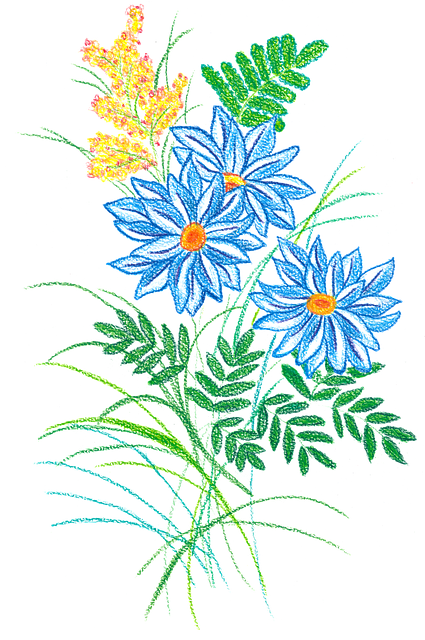 Bloemen, Tekening, Tuin