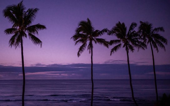 Free Sunset Sunrise photo and picture