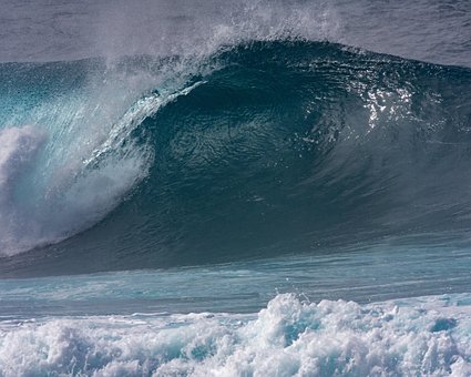 Free Wave Hawaii photo and picture