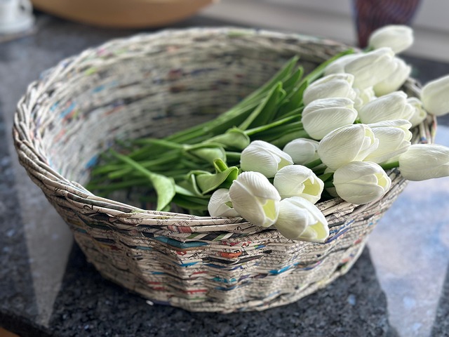 Free Flowers Tulips photo and picture