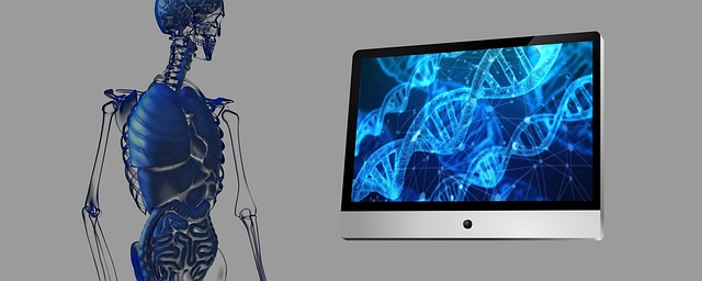 Free dna anatomy heritage illustration
