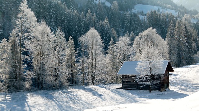 Free Mountains Log Cabin photo and picture