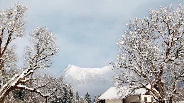 Free Mountains Snow photo and picture