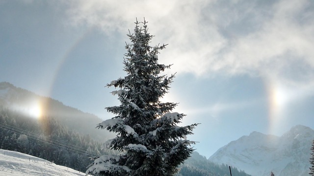 Free Parsons Winter photo and picture
