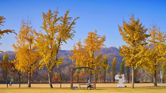 Free Ginkgo Park photo and picture