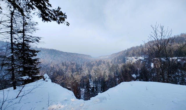 长白山 谷底森林 谷底 - Pixabay上的免费照片 - Pixabay