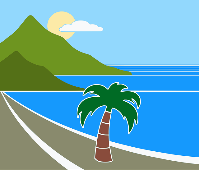 Free palma nature beach vector