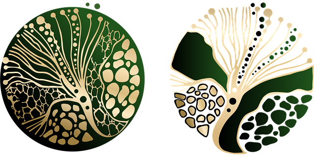 Flora, Verde, Plantas, Naturaleza