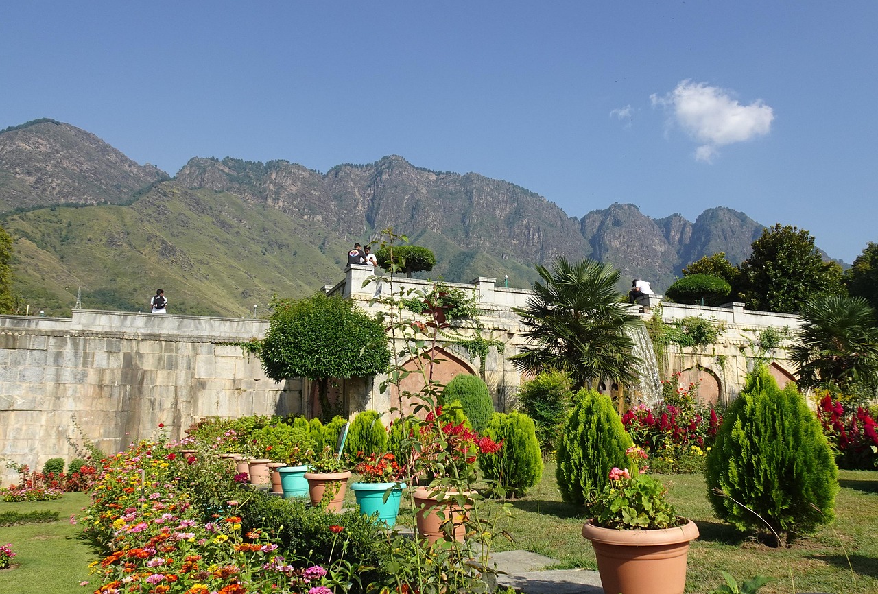Nishat Bagh Kebun Srinagar Taman - Foto gratis di Pixabay - Pixabay