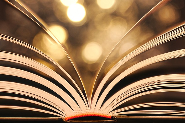 Book Pages Read - Free photo on Pixabay