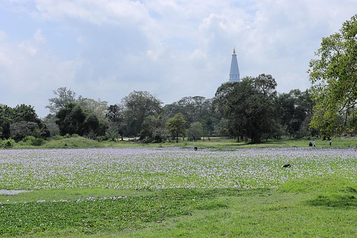 Free Ancient City Anuradhapura photo and picture
