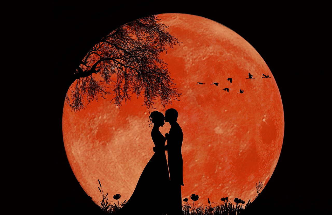 Download Full Moon Few Love Royalty Free Stock Illustration Image download-full-moon-few-love-royalty-free-stock-illustration-image