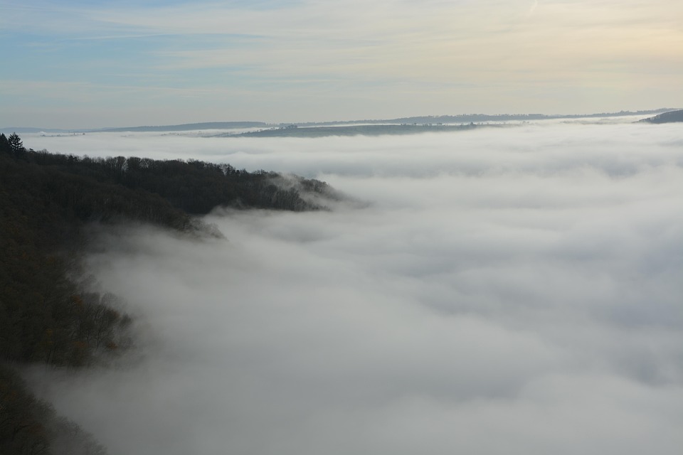 Morning Mist Condensed Water Vapor Free photo on Pixabay