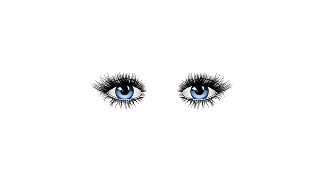 Free eyes eyelashes blue eyes illustration