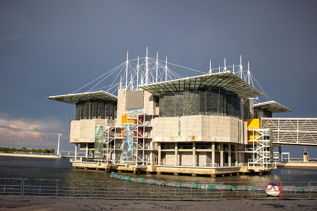 Lissabon, Aquarium, Meer, Wasser
