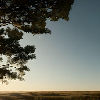 Free Nature Land photo and picture