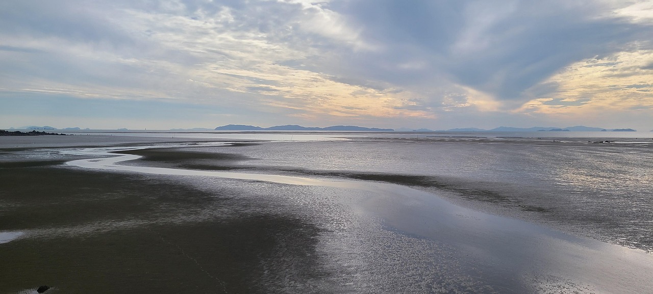 갯벌 무의도 썰물 - ภาพฟรีบน Pixabay - Pixabay