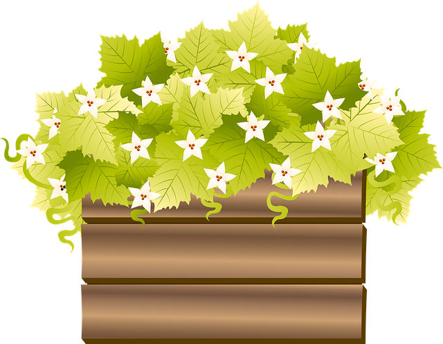 Free plant leaves flower vector