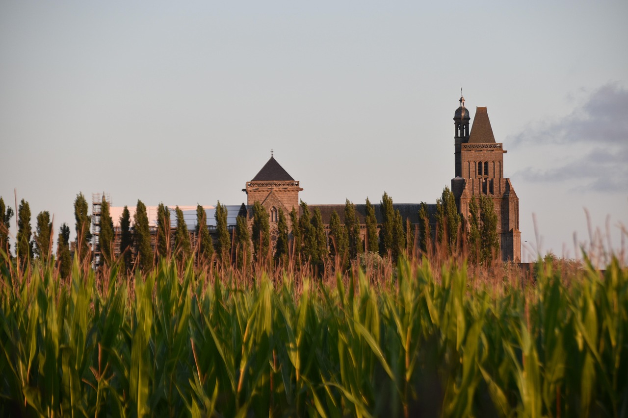 Field - free online jigsaw puzzle photo
