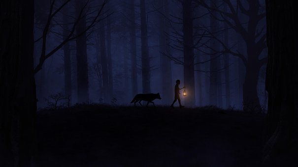 Natt, Skog, Eventyr, Ulv, Lykt, Bakgrunn