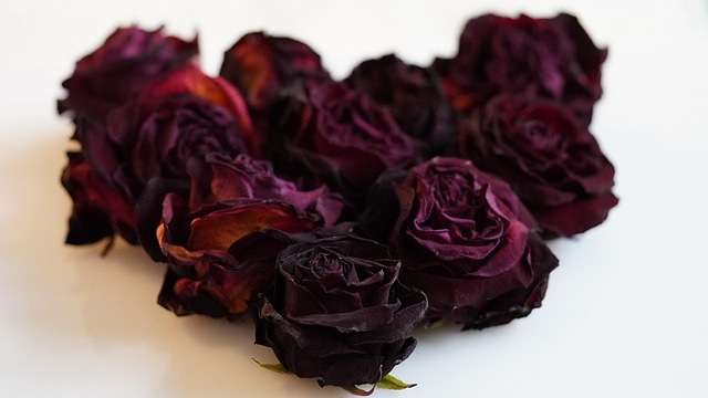 Herz Rosen Liebe - Kostenloses Foto auf Pixabay