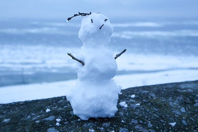 Schneemann, Winter, Strand, Schnee