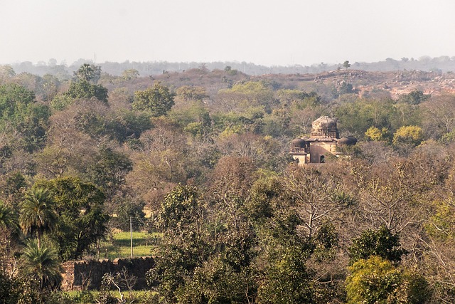 Bomen, Monument, Tempel, Erfenis, India