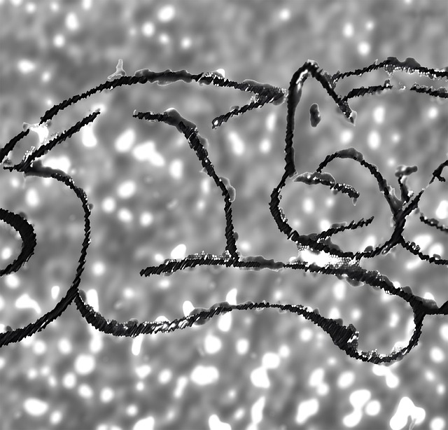 Free sleeping cat dreaming purring illustration