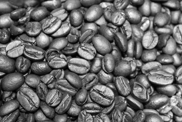 Free Coffee Coffee Beans photo and picture