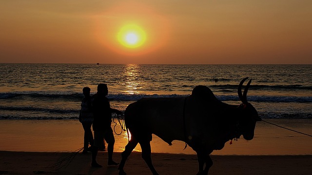 Free Buffalo Beach photo and picture