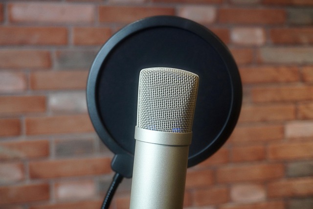 Microfoon, Podcast, Audio