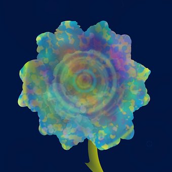 Plante, Blomst, Natur, Abstrakt