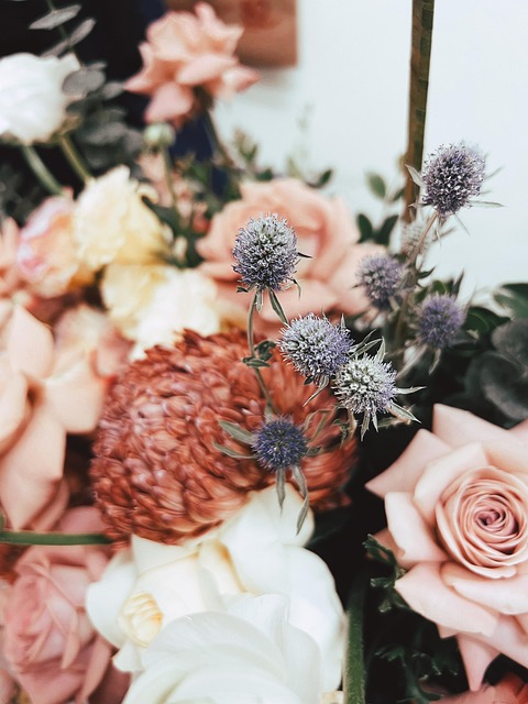 Free Flower Roses photo and picture
