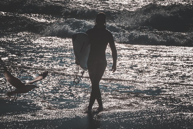 Surfař, Moře, Pláž, Oceán, Surfovat