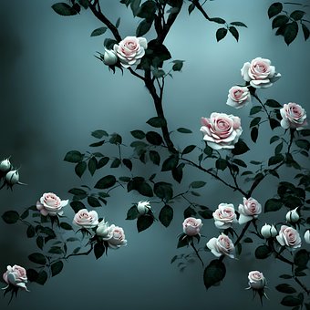 Free Flowers Roses illustration and picture