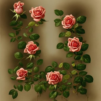 Free Roses Flowers illustration and picture