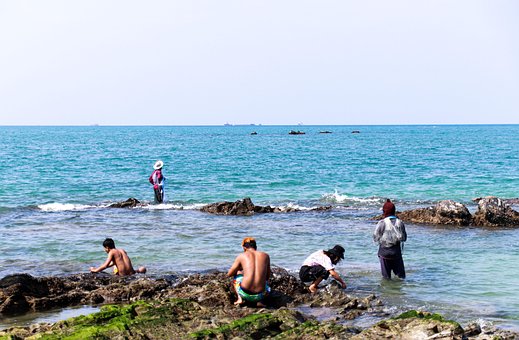 Free Sea Beach photo and picture