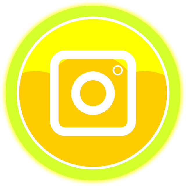 Free Instagram Social Media vector and picture