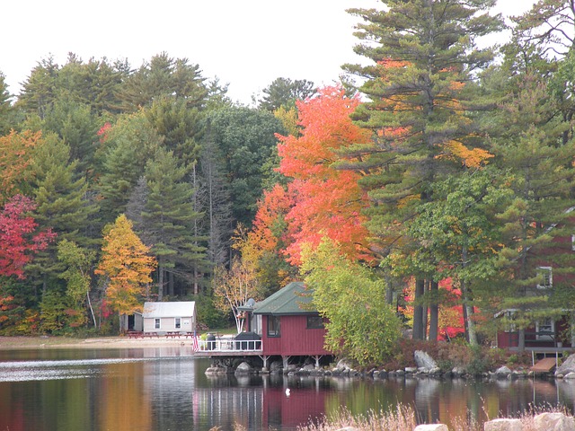Free Fall Maine photo and picture