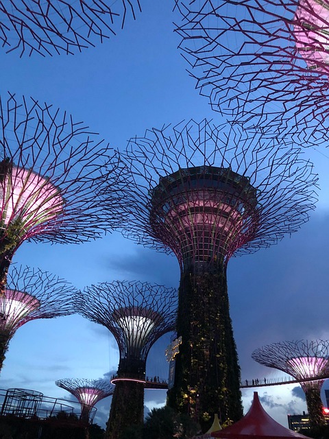Singapore Supertrees Illuminated - Free photo on Pixabay - Pixabay