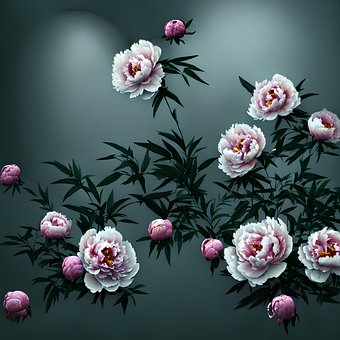 Free Flower Nature photo and picture