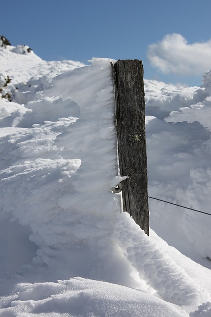 Free Winter Snow photo and picture