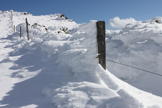 Free Winter Snow photo and picture