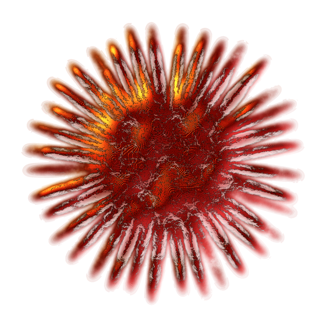 Download Broach, Pin, Jewelry. RoyaltyFree Vector Graphic Pixabay
