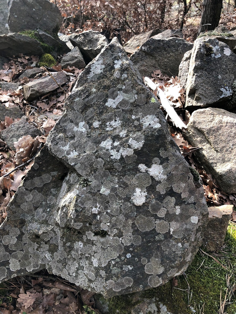 Small Rocks Picture Rocks Nature - Free photo on Pixabay - Pixabay