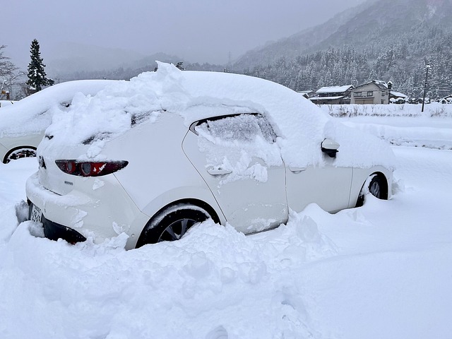 Free Winter Snow photo and picture