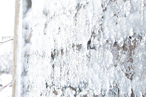 Free Frozen Cold photo and picture