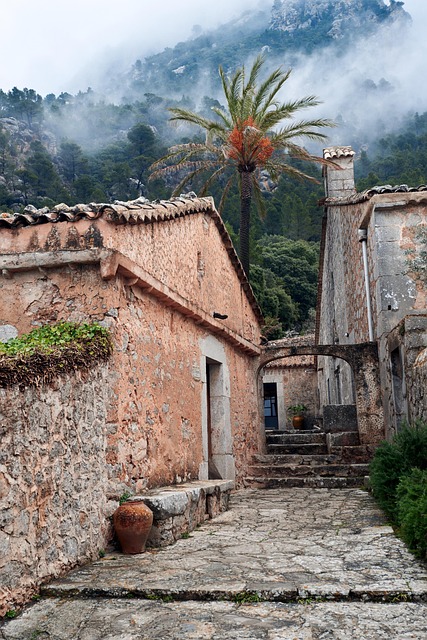 Landlig, Vei, Mallorca, Valdemosa
