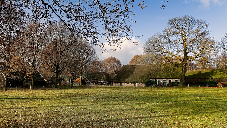boerderij-weiland-bomen-gratis-foto-op-pixabay-pixabay