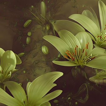 Free Flora Nature photo and picture